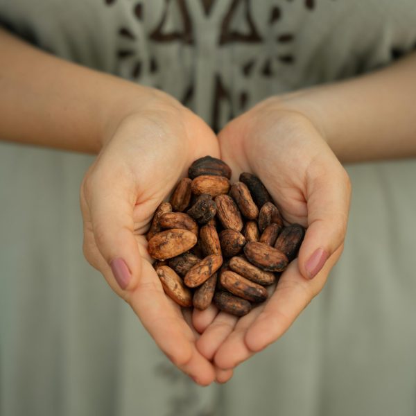Cacao Beans